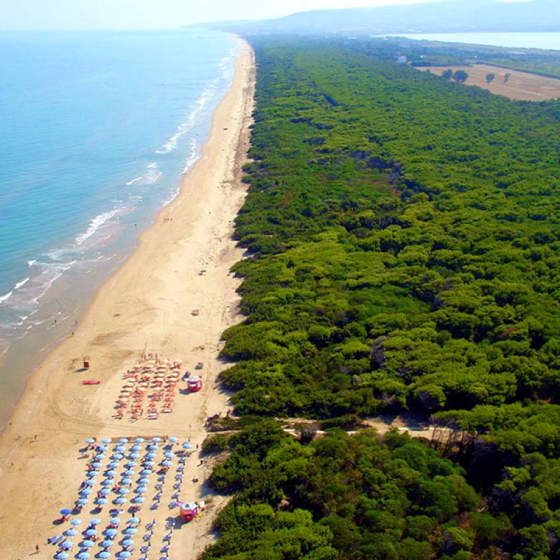 Spiaggia