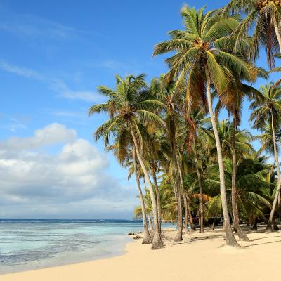 Grand Palladium Jamaica Resort 4.jpg